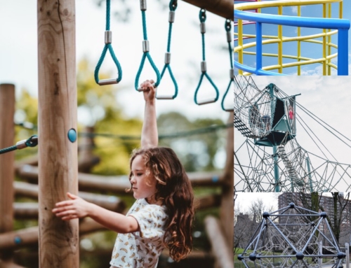 Labyrinth And Jungle Gym Of The Mind