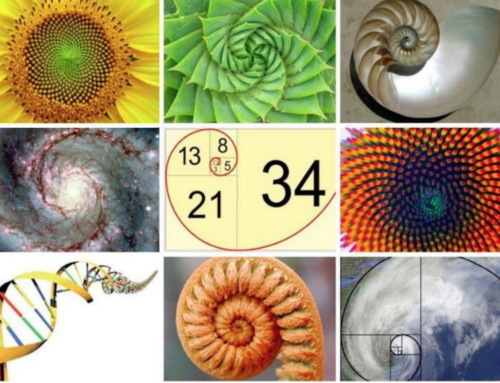 Fibonacci Part 2.